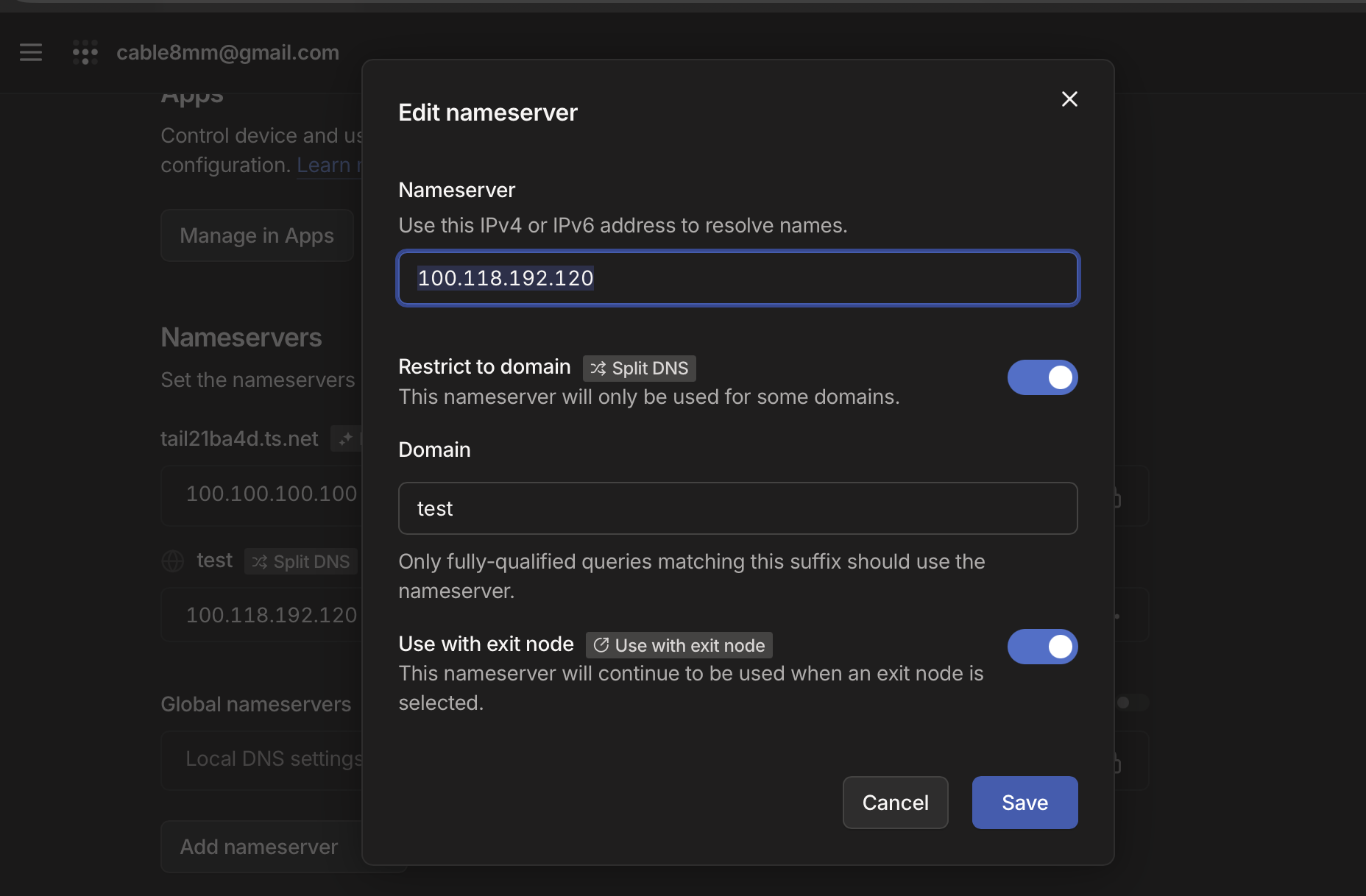 Tailscale의 DNS 세팅화면